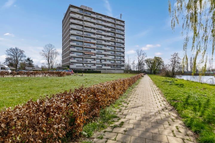 Aalscholversingel 500