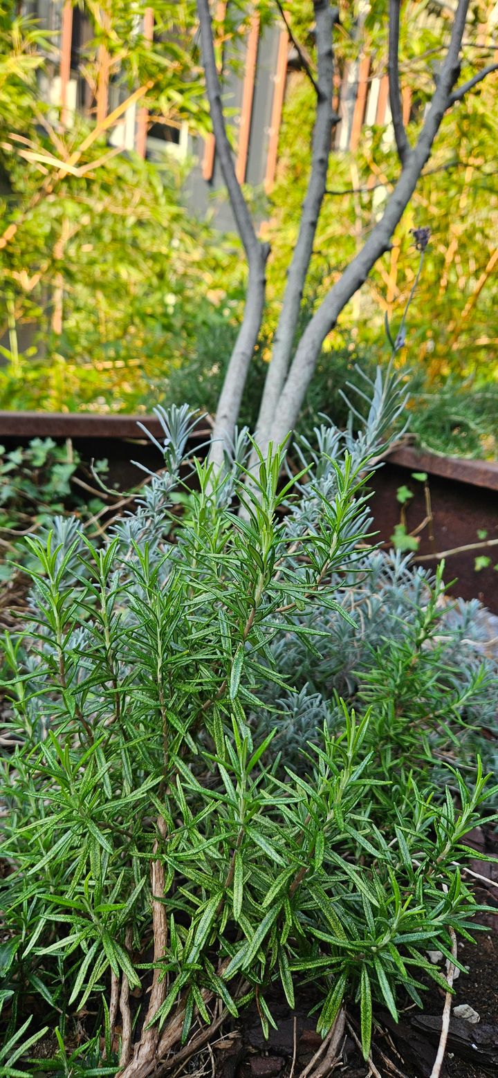 Foto 29 van Westerdok 688