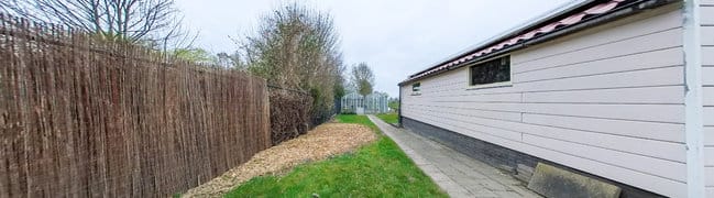 Achtertuin