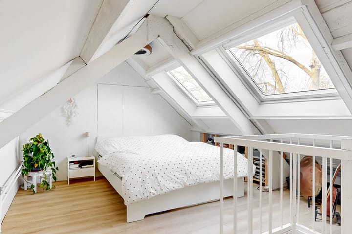 Foto 20 van Kamelenspoor 196