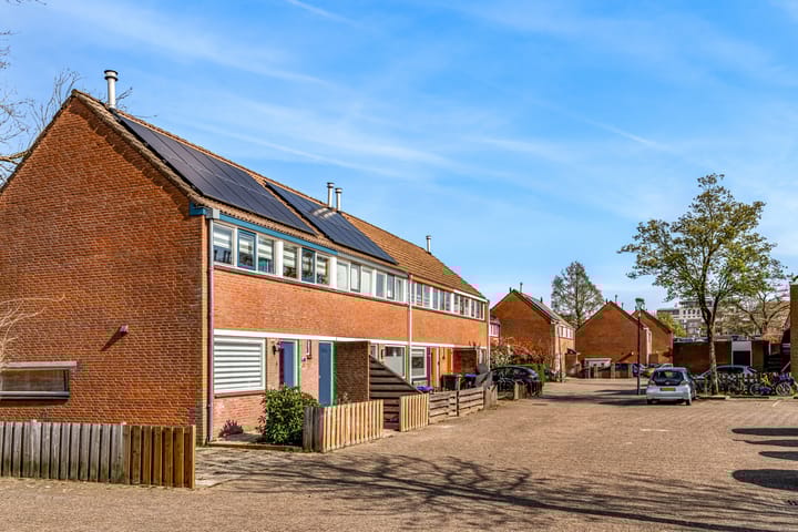 Foto 32 van Kamelenspoor 196