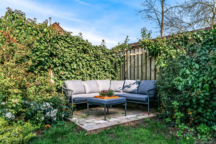 Foto 25 van Kamelenspoor 196