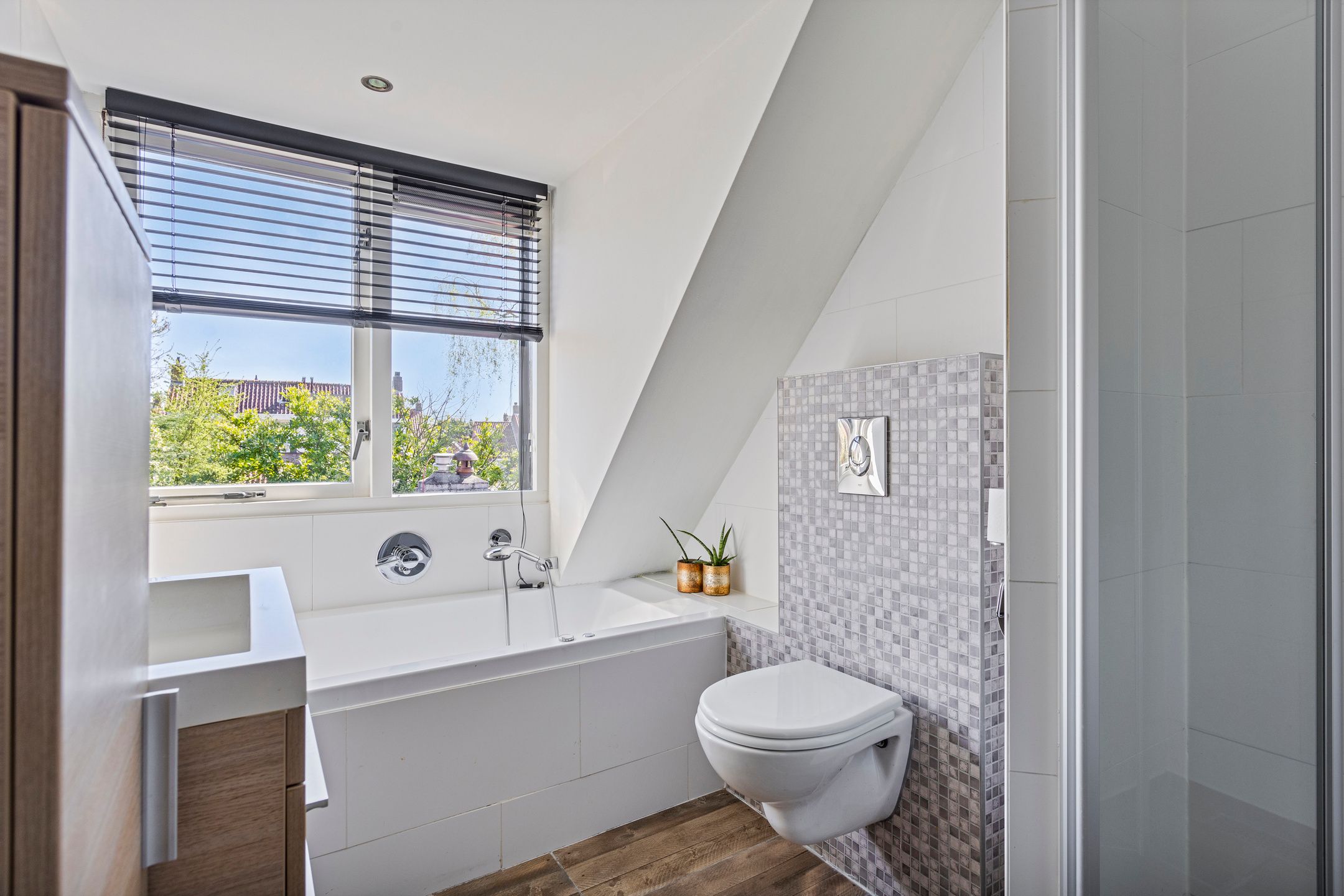 Foto 33 van Duivelandstraat 1