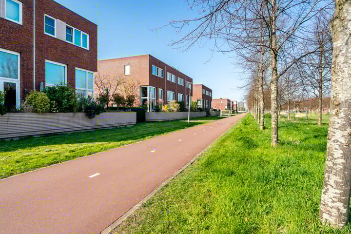 Foto 61 van Jonas Salkhof 6