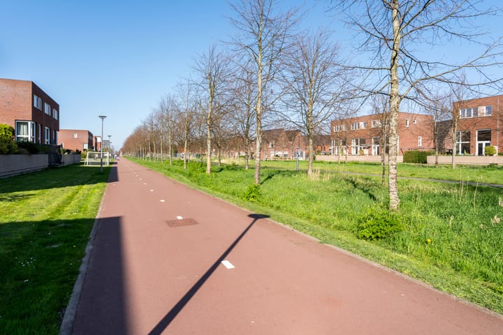 Foto 62 van Jonas Salkhof 6