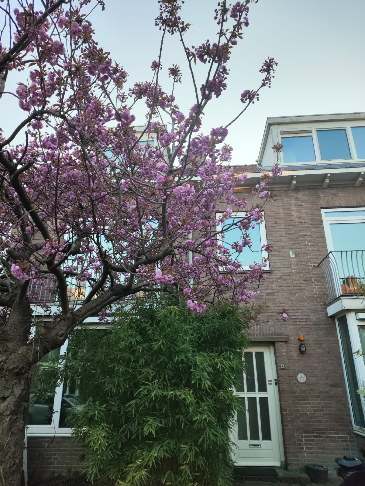 Foto 34 van Iepenrodelaan 23-BV