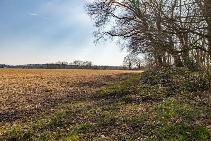 Foto 52 van Boermarkeweg 17