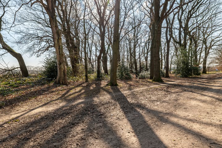 Foto 53 van Boermarkeweg 17