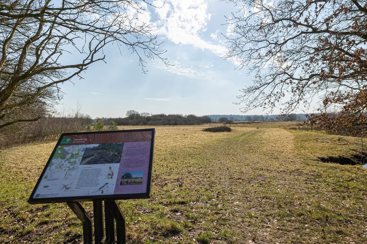 Foto 54 van Boermarkeweg 17