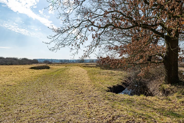 Foto 55 van Boermarkeweg 17