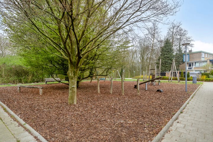 Photo 24 of Lampsinsstraat 35