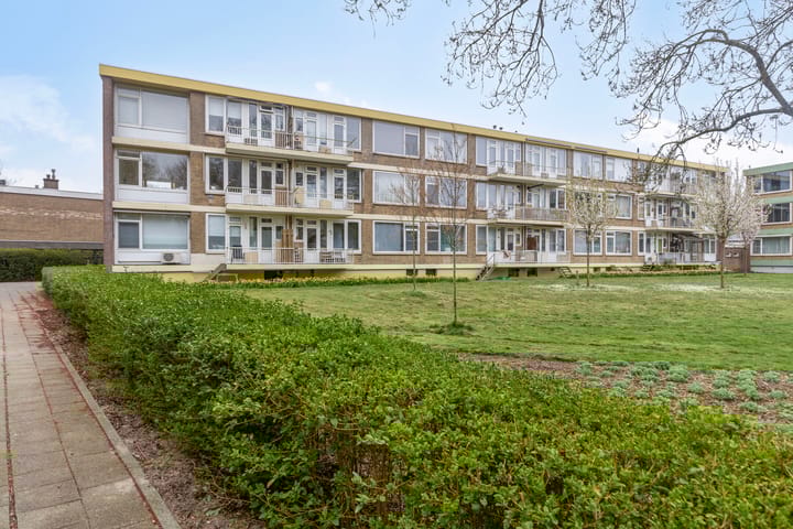 Photo 25 of Lampsinsstraat 35