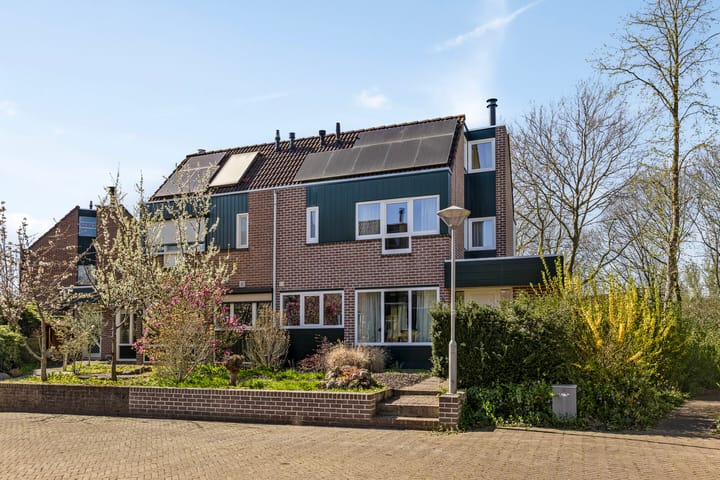 undefined main image