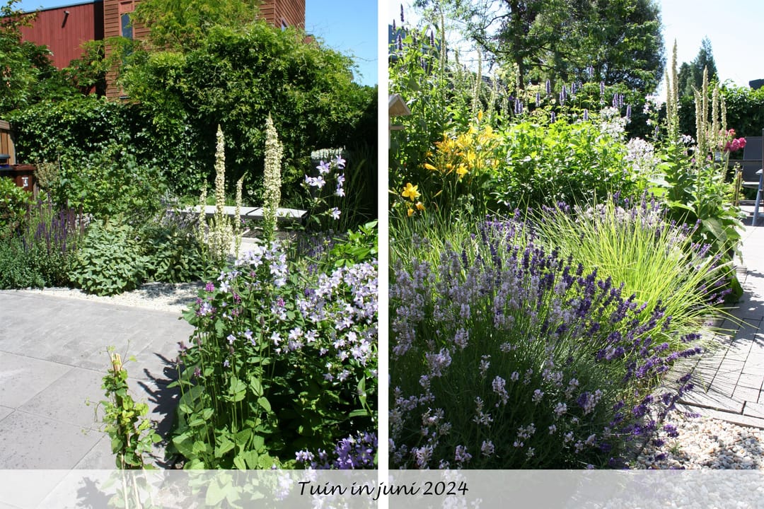 Foto 56 van Akkrumerraklaan 106