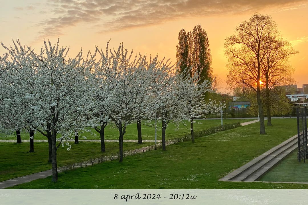 Foto 58 van Akkrumerraklaan 106