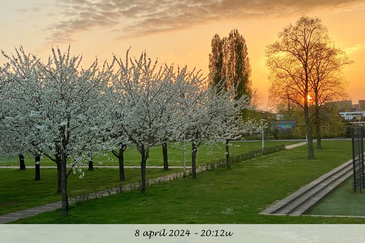 Foto 58 van Akkrumerraklaan 106