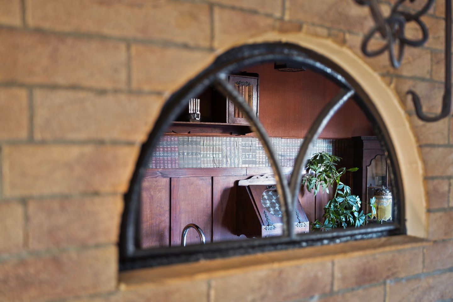 Foto 10 van Kamperfoelie 88