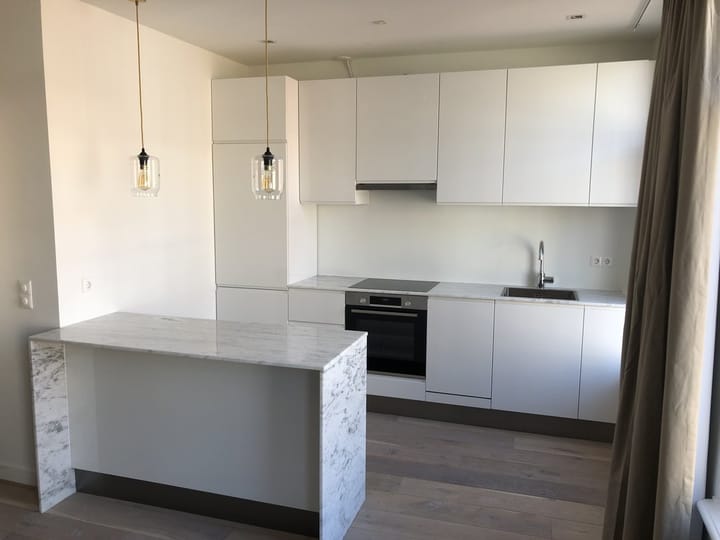 Foto 3 van Hemonystraat 42-3