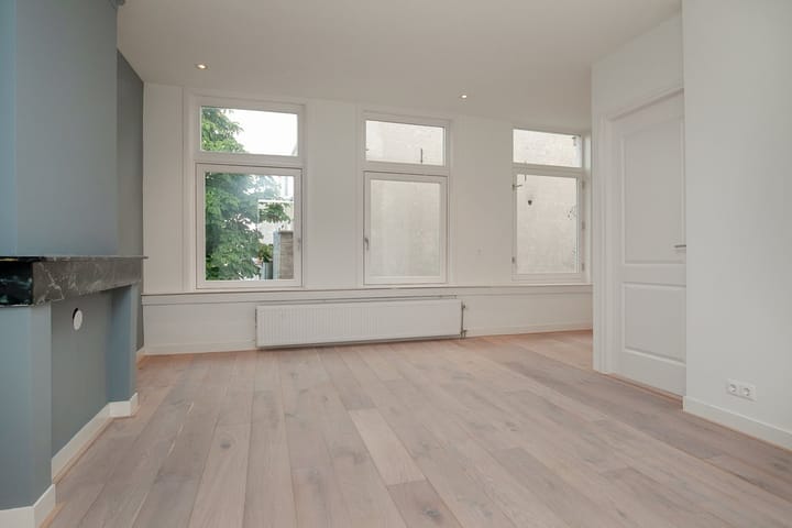 Foto 5 van Hemonystraat 42-3