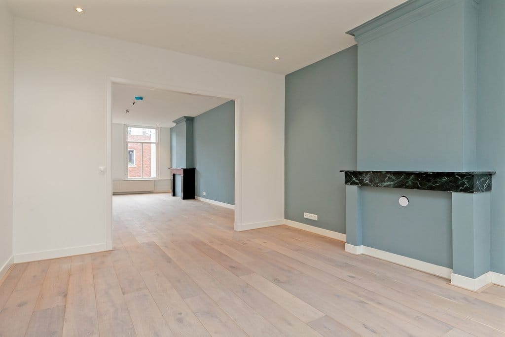 Foto 6 van Hemonystraat 42-3