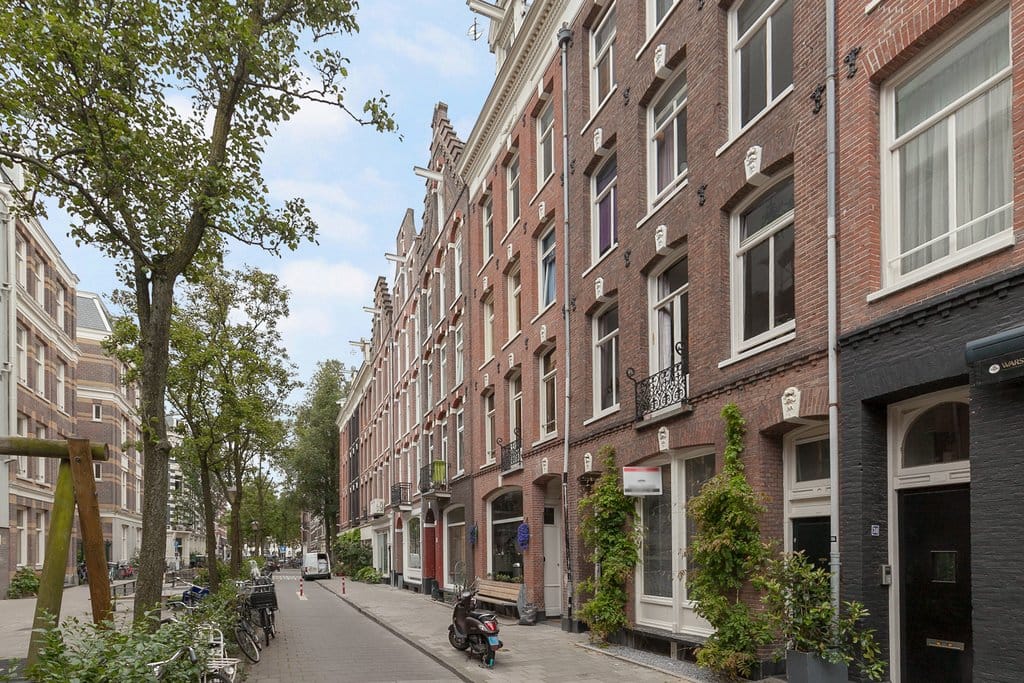 Foto 19 van Hemonystraat 42-3