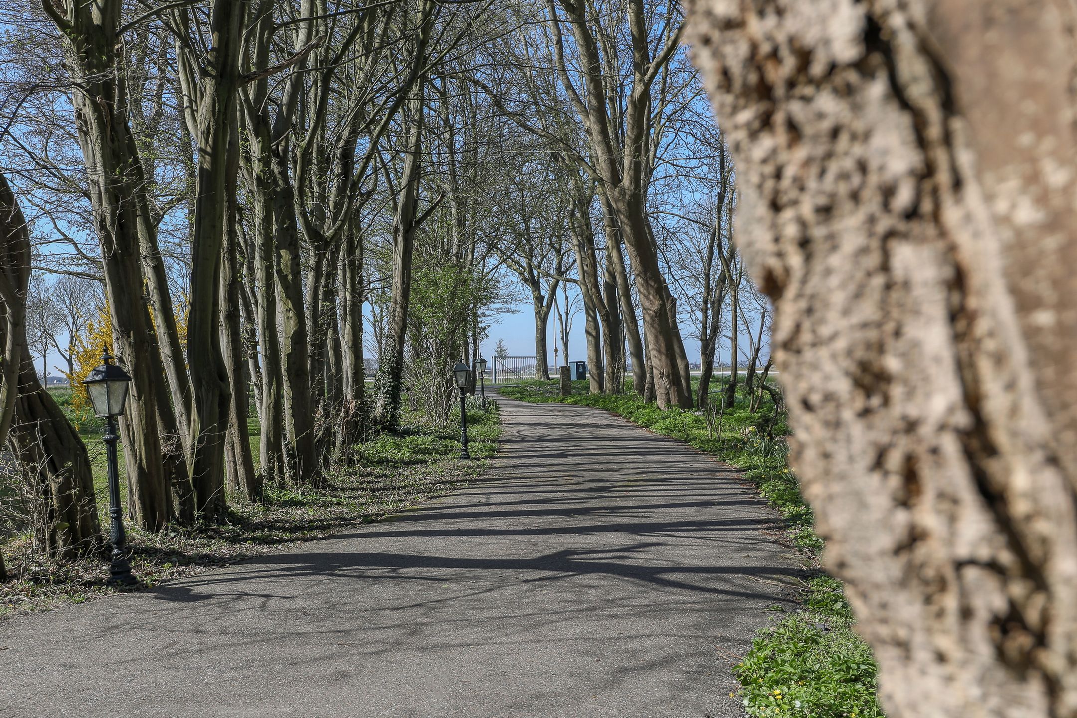 Photo 9 of Blokdijk 1