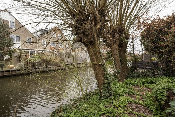 Foto 30 van Grote Boterbloem 91