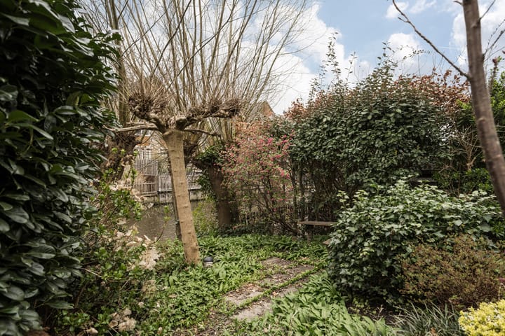 Foto 31 van Grote Boterbloem 91