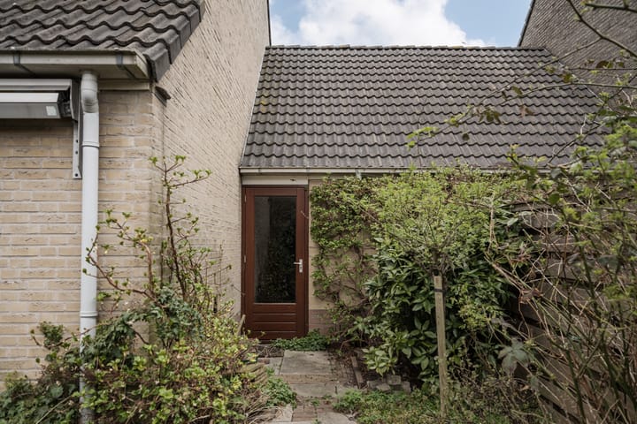 Foto 32 van Grote Boterbloem 91