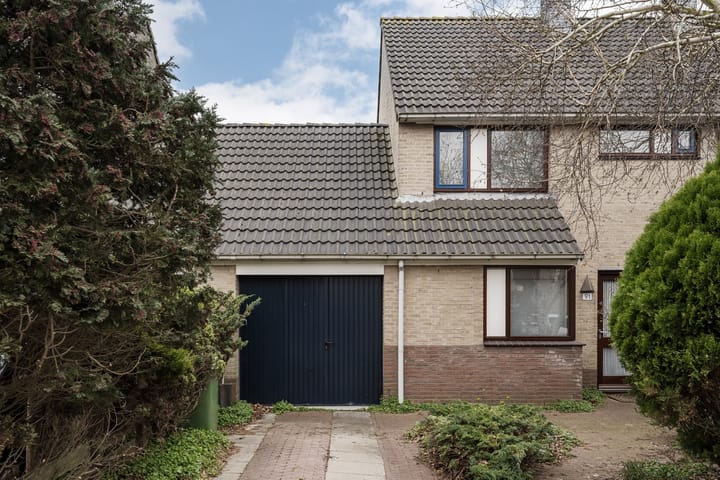 Foto 33 van Grote Boterbloem 91