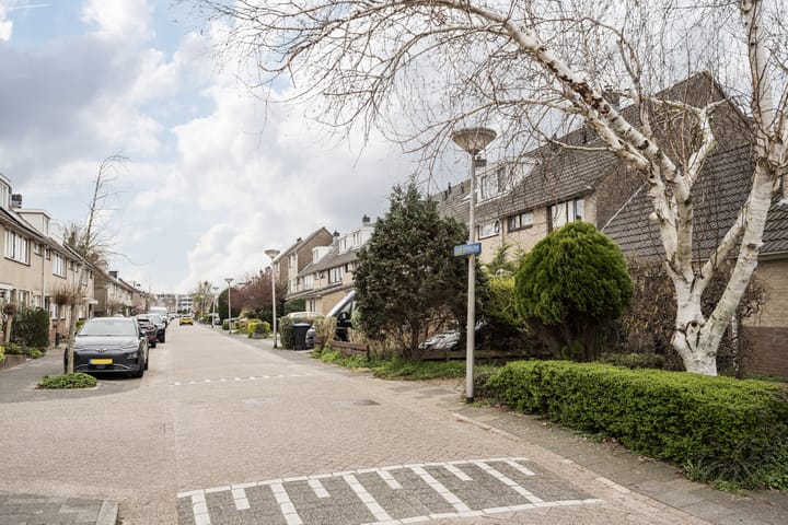 Foto 37 van Grote Boterbloem 91