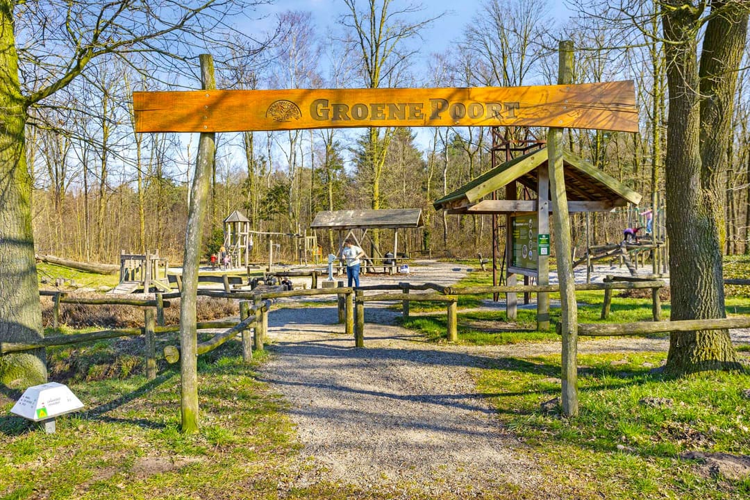 Photo 28 of Pinksterbloemstraat 16