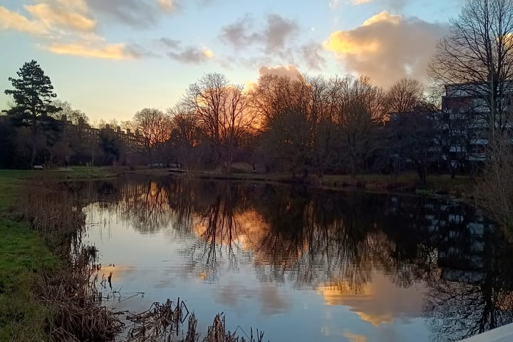 Foto 34 van Sportlaan 124