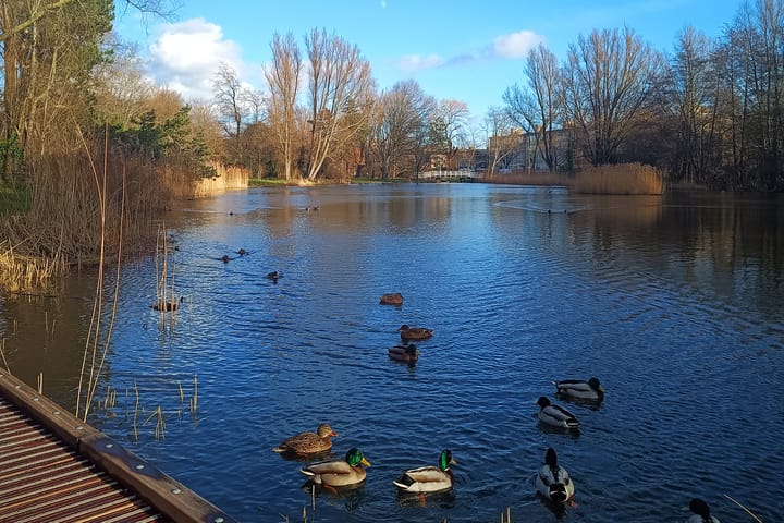 Foto 35 van Sportlaan 124