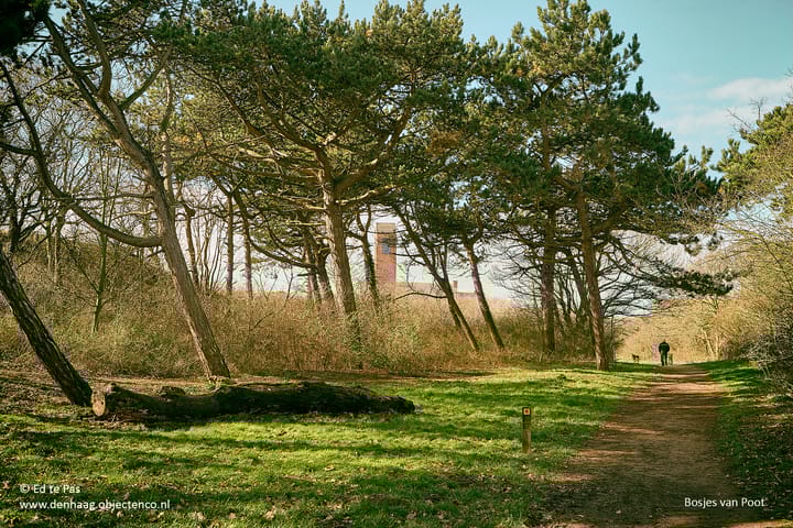 Foto 43 van Sportlaan 124