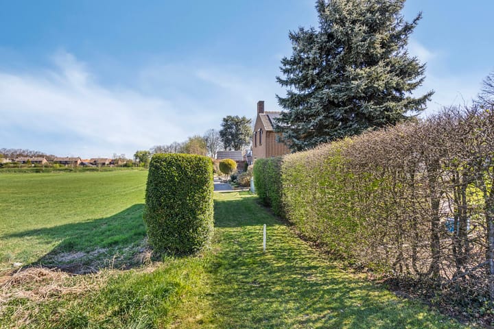 Foto 45 van Brandeweijer 6