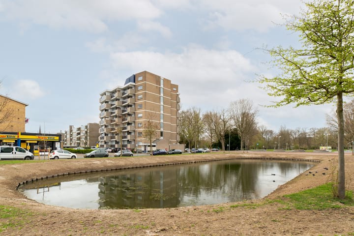 Foto 25 van Nassauplantsoen 33