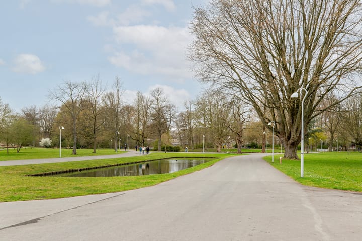 Foto 35 van Nassauplantsoen 33