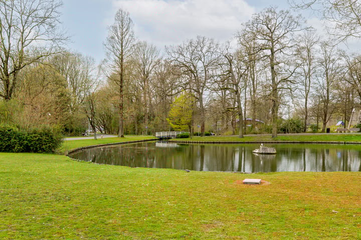 Foto 36 van Nassauplantsoen 33