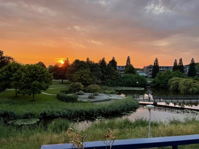 Photo 28 of Oesdommerveen 26