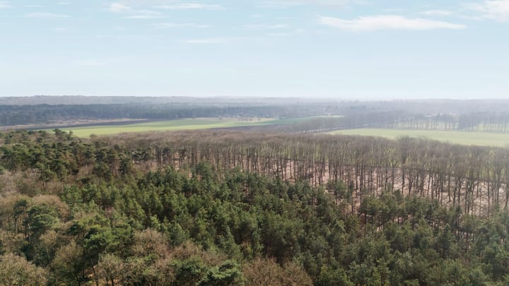 Foto 49 van Wolfhezerweg 120-04