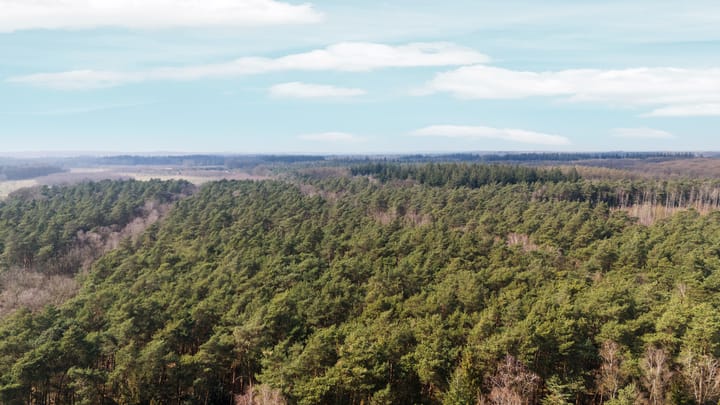 Foto 50 van Wolfhezerweg 120-04