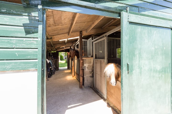 Foto 52 van Zuidzijde 125-E