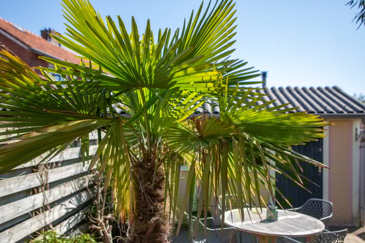 Photo 42 of Kastanjelaan 81