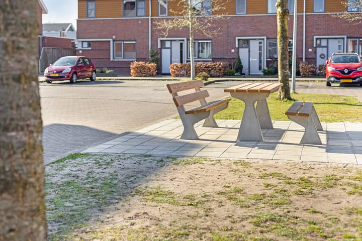 Foto 35 van de Pirk 45