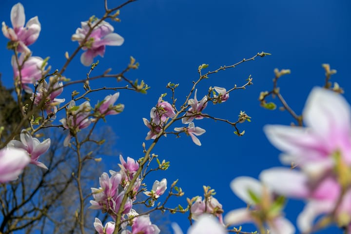 Foto 40 van Otterloseweg 310