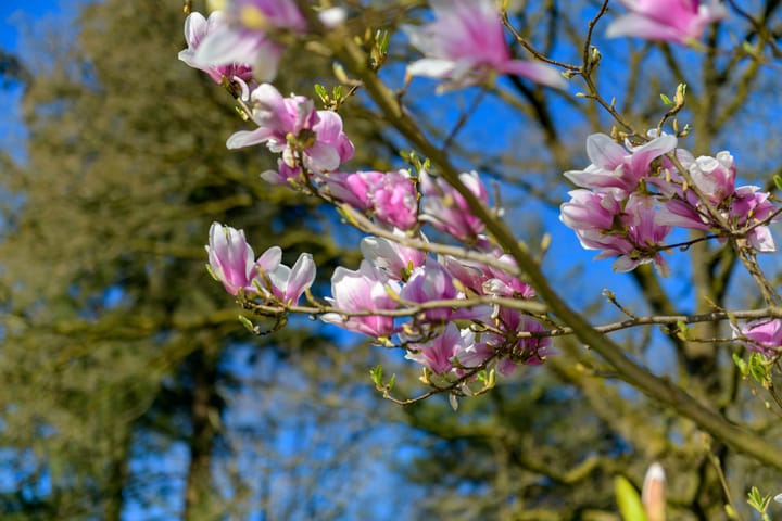 Foto 41 van Otterloseweg 310