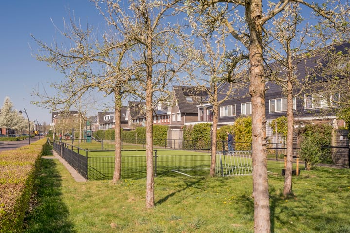 Foto 25 van Streep 2