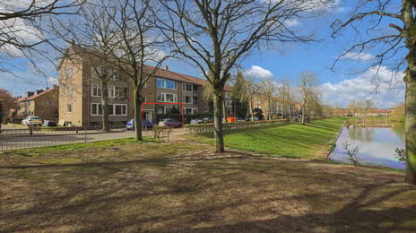 undefined main image