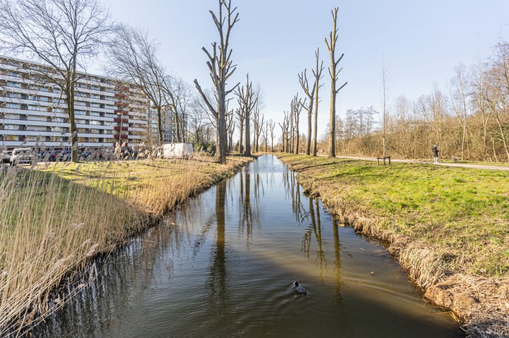 Foto 26 van Martin Luther Kinglaan 528